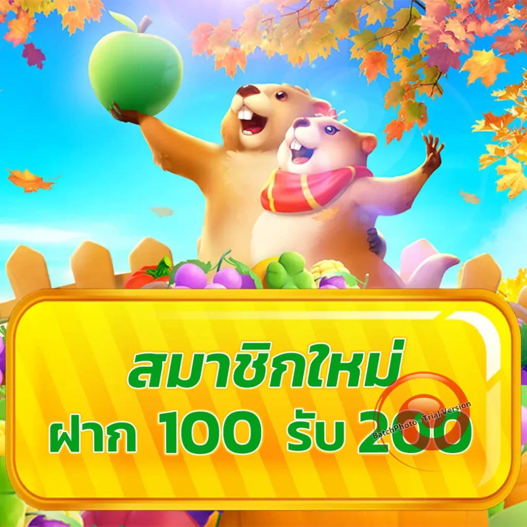 pro ไม่มีขั้นต่ำ